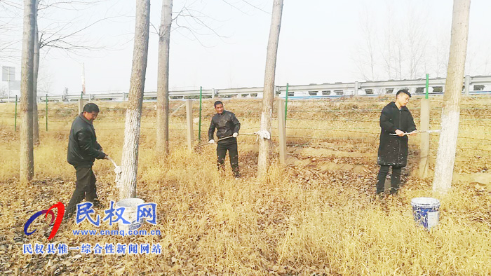 雙塔鎮(zhèn)組織開(kāi)展連霍高速公路兩側(cè)樹(shù)木刷白工作 雙塔鎮(zhèn)組織開(kāi)展連霍高速公路兩側(cè)樹(shù)木刷白工作