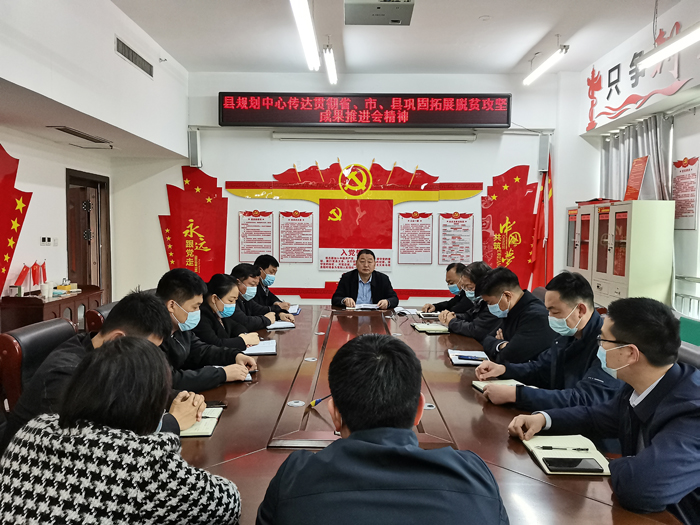 縣規(guī)劃中心傳達貫徹省、市、縣鞏固拓展脫貧攻堅成果推進會精神