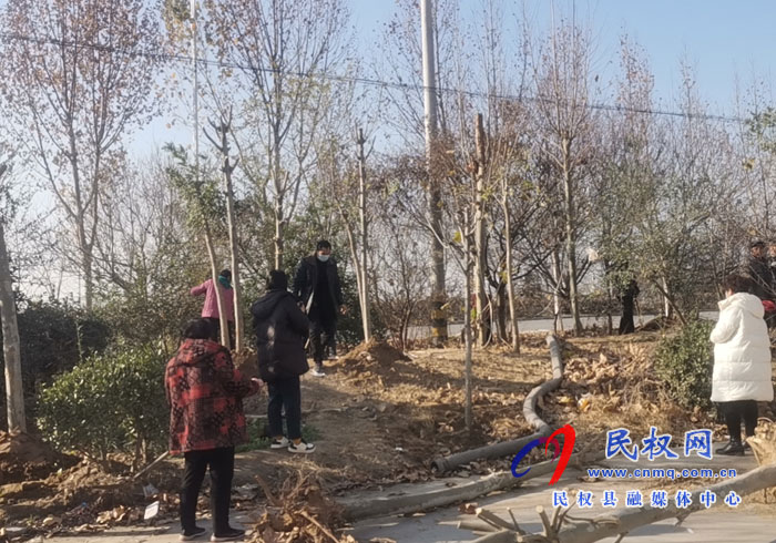 南華辦事處全面開展植樹綠化行動促進(jìn)人居環(huán)境改善 南華辦事處全面開展植樹綠化行動促進(jìn)人居環(huán)境改善