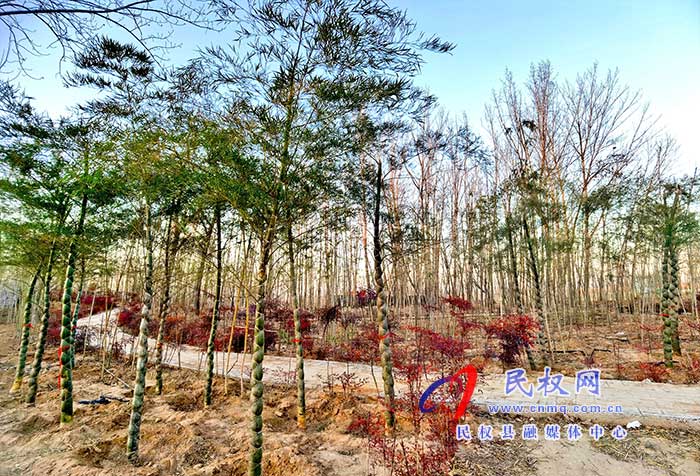 雙塔鎮(zhèn):黨建引領(lǐng)農(nóng)村人居環(huán)境整治提升 雙塔鎮(zhèn):黨建引領(lǐng)農(nóng)村人居環(huán)境整治提升