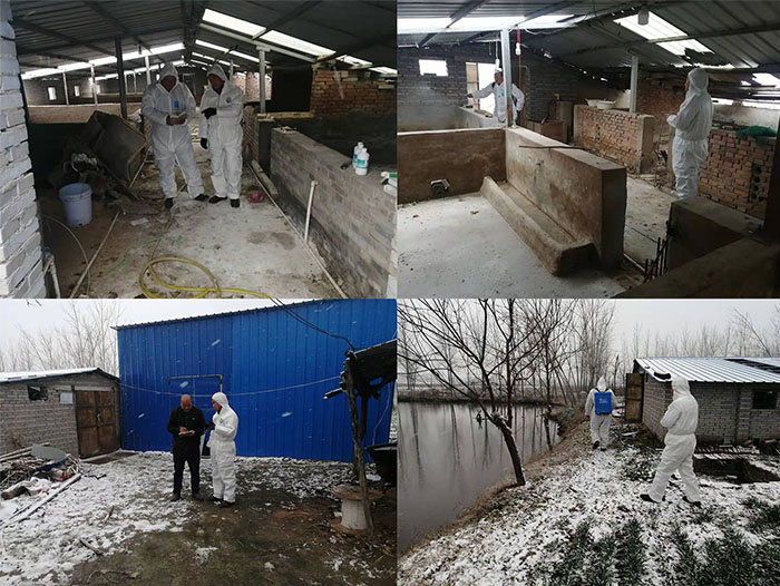 縣畜牧發(fā)展服務(wù)中心積極應對雨雪寒潮天氣 縣畜牧發(fā)展服務(wù)中心積極應對雨雪寒潮天氣