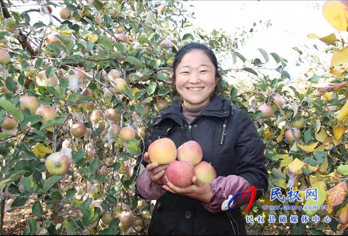 民權(quán)縣褚廟鄉(xiāng):蘋果紅了 村民笑了 生活富了 民權(quán)縣褚廟鄉(xiāng):蘋果紅了 村民笑了 生活富了