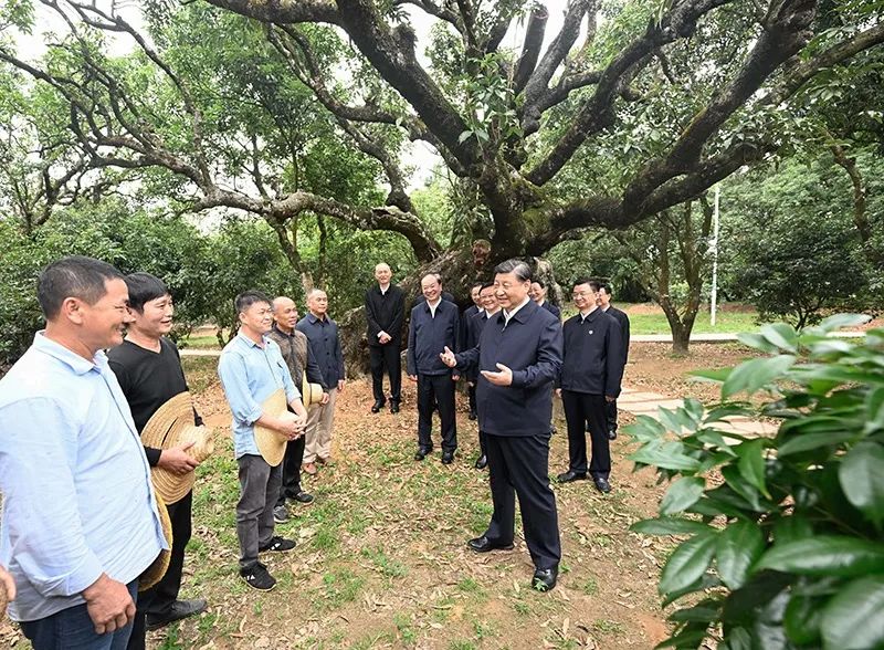 習近平怎么選調(diào)研對象？｜跟總書記學調(diào)研④