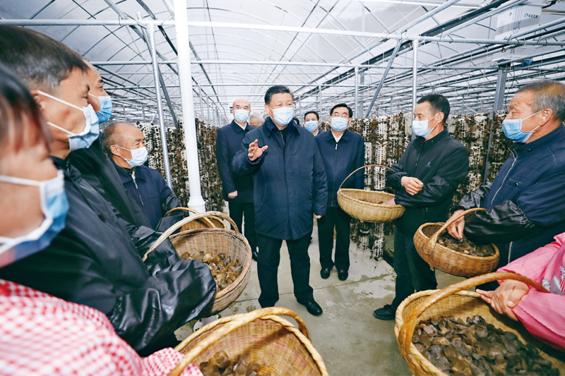 習(xí)近平總書記談糧食安全這個(gè)“國(guó)之大者”