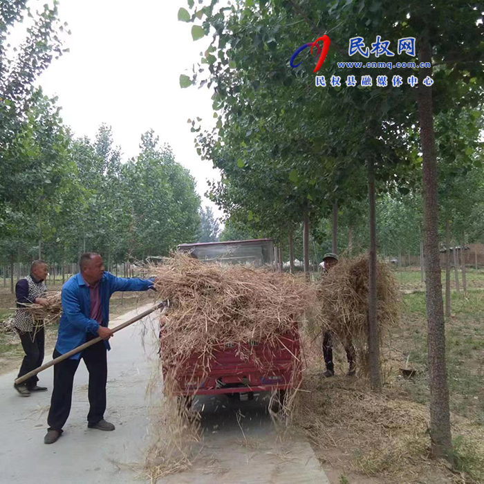 孫六鎮(zhèn)常態(tài)化做好人居環(huán)境整治工作 孫六鎮(zhèn)常態(tài)化做好人居環(huán)境整治工作