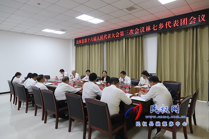 縣委書記、縣長王靜嫻參加林七鄉(xiāng)代表團審議