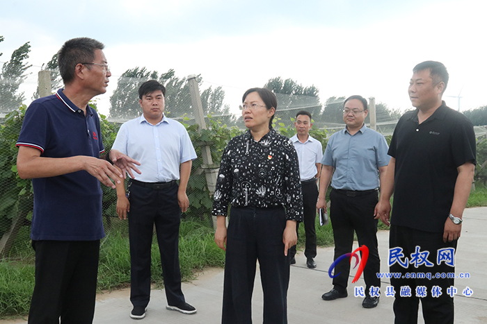 縣委書記王靜嫻調(diào)研葡萄酒產(chǎn)業(yè)發(fā)展情況 縣委書記王靜嫻調(diào)研葡萄酒產(chǎn)業(yè)發(fā)展情況