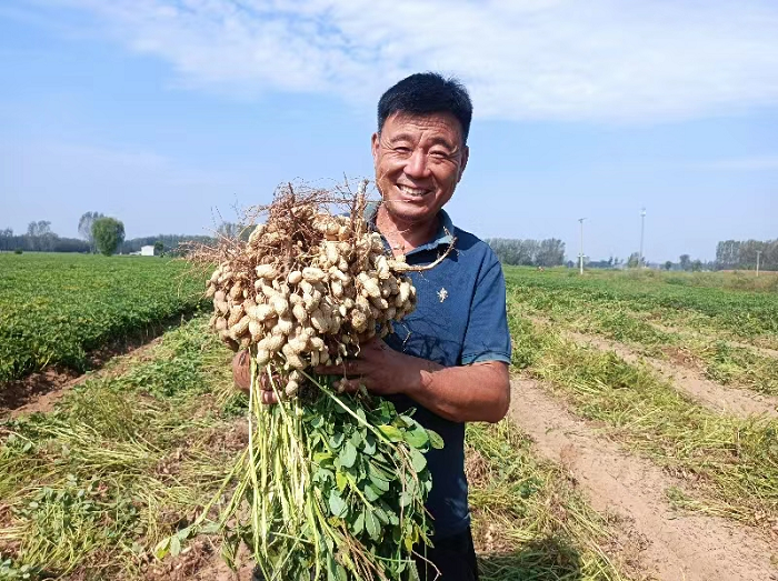 雙塔鎮(zhèn):產(chǎn)業(yè)興旺走出富民路 雙塔鎮(zhèn):產(chǎn)業(yè)興旺走出富民路