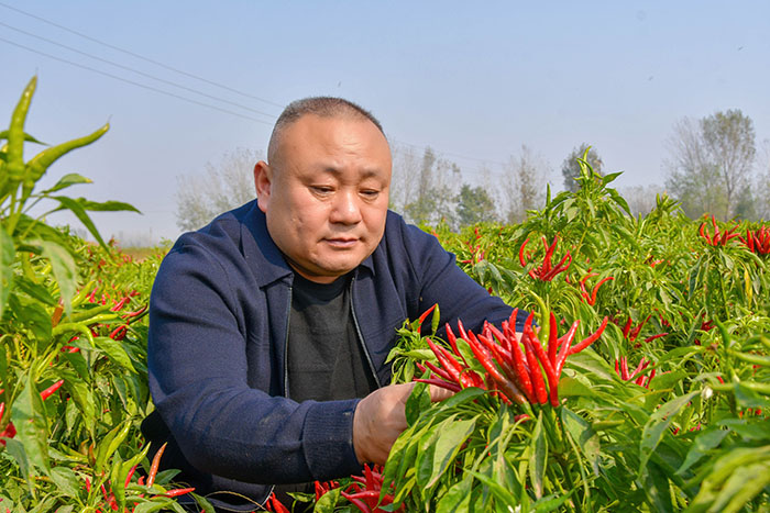 市勞動(dòng)模范趙轉(zhuǎn)運(yùn) 市勞動(dòng)模范趙轉(zhuǎn)運(yùn)