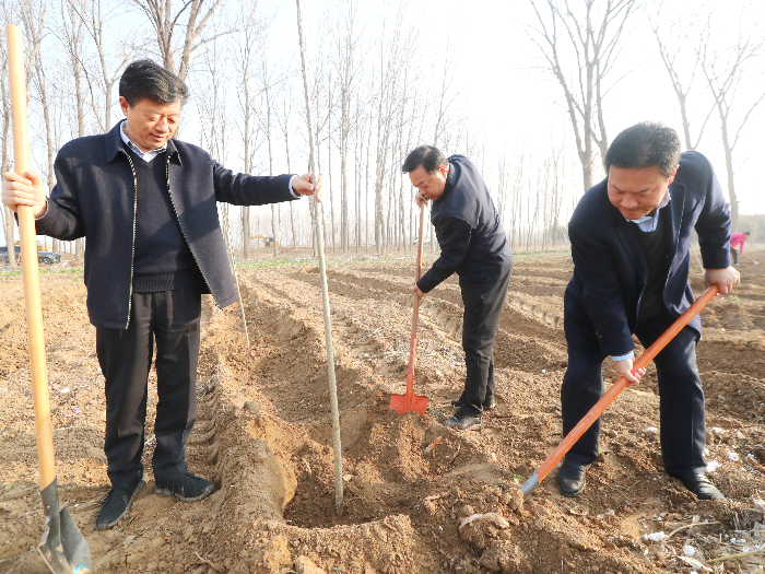 民權(quán)縣開展2024年春季義務(wù)植樹活動(dòng) 民權(quán)縣開展2024年春季義務(wù)植樹活動(dòng)