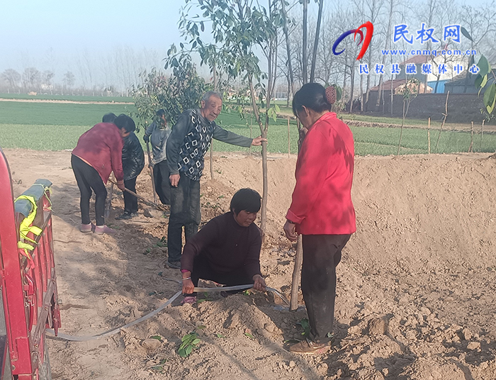 龍?zhí)伶?zhèn):履“植”盡責(zé) 綠化重栽更重管 龍?zhí)伶?zhèn):履“植”盡責(zé) 綠化重栽更重管