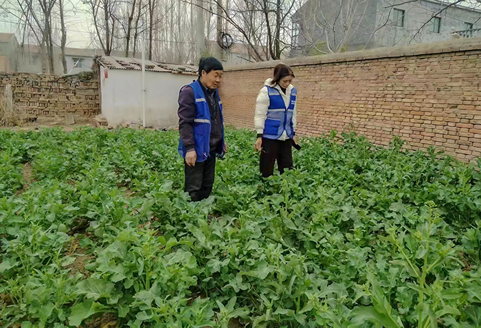 人和鎮(zhèn):禁種鏟毒在行動 全面踏查無死角 人和鎮(zhèn):禁種鏟毒在行動 全面踏查無死角