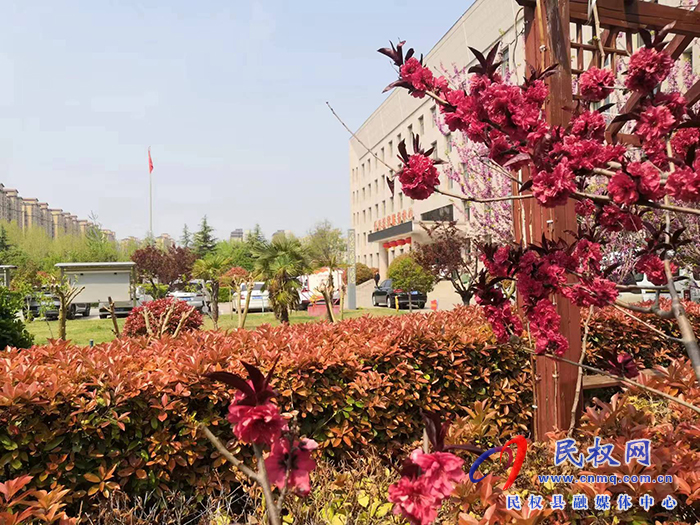 縣司法局傾力打造“園林式”機關  縣司法局傾力打造“園林式”機關