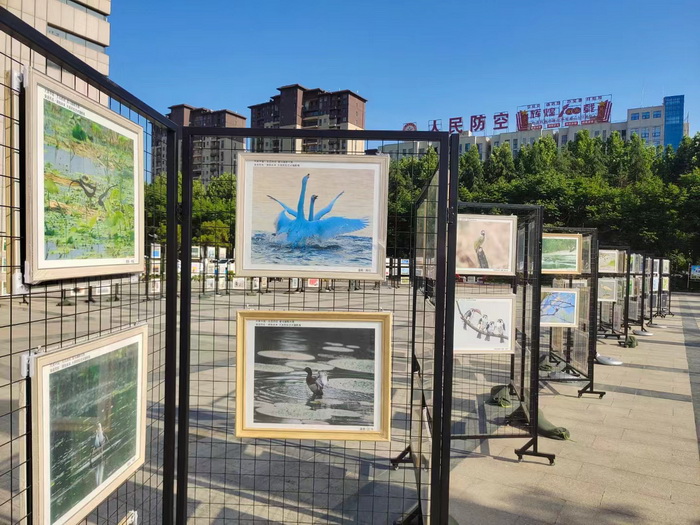 奮進民權·擁抱未來 2024民權文旅市集暨大美民權藝術攝影展系列活動舉行