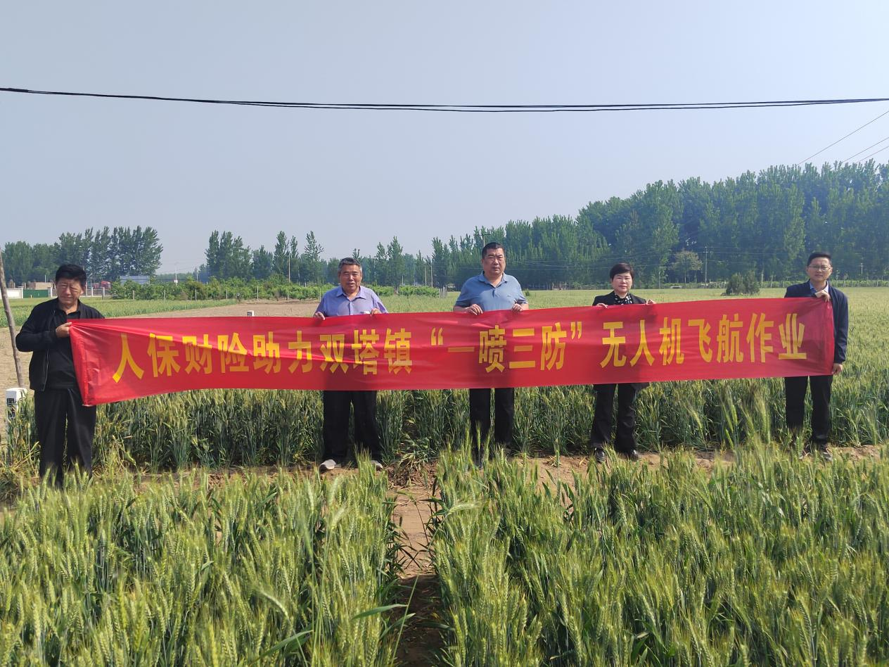 雙塔鎮(zhèn):“一噴三防”助豐收 雙塔鎮(zhèn):“一噴三防”助豐收