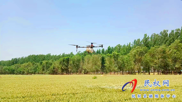 孫六鎮(zhèn):無人機“飛防” 助農(nóng)提質(zhì)增效 孫六鎮(zhèn):無人機“飛防” 助農(nóng)提質(zhì)增效