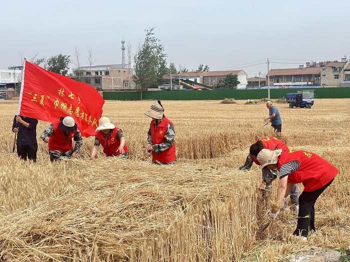 民權(quán)縣婦聯(lián)組織巾幗志愿者助力秸稈禁燒及“三夏”生產(chǎn) 民權(quán)縣婦聯(lián)組織巾幗志愿者助力秸稈禁燒及“三夏”生產(chǎn)