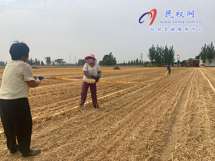 孫六鎮(zhèn)多舉措做好抗旱搶收工作 孫六鎮(zhèn)多舉措做好抗旱搶收工作