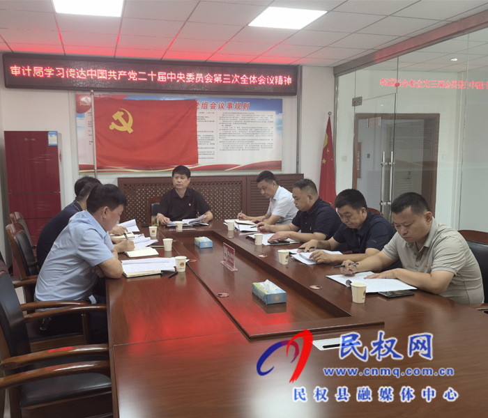 審計(jì)局學(xué)習(xí)傳達(dá)黨的二十屆三中全會(huì)精神 審計(jì)局學(xué)習(xí)傳達(dá)黨的二十屆三中全會(huì)精神