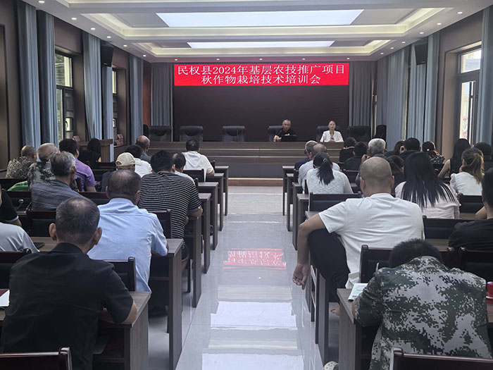 王橋鎮(zhèn)：加強(qiáng)秋作物田間管理，點(diǎn)亮“產(chǎn)業(yè)興旺星”