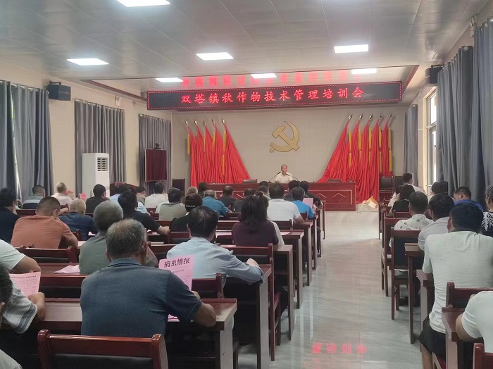 雙塔鎮(zhèn)召開2024年秋作物技術(shù)管理培訓(xùn)會(huì) 雙塔鎮(zhèn)召開2024年秋作物技術(shù)管理培訓(xùn)會(huì)