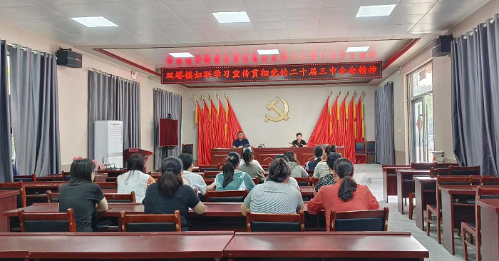 民權(quán)縣雙塔鎮(zhèn)婦聯(lián)開展學(xué)習(xí)貫徹黨的二十屆三中全會(huì)精神巾幗宣講會(huì) 民權(quán)縣雙塔鎮(zhèn)婦聯(lián)開展學(xué)習(xí)貫徹黨的二十屆三中全會(huì)精神巾幗宣講會(huì)