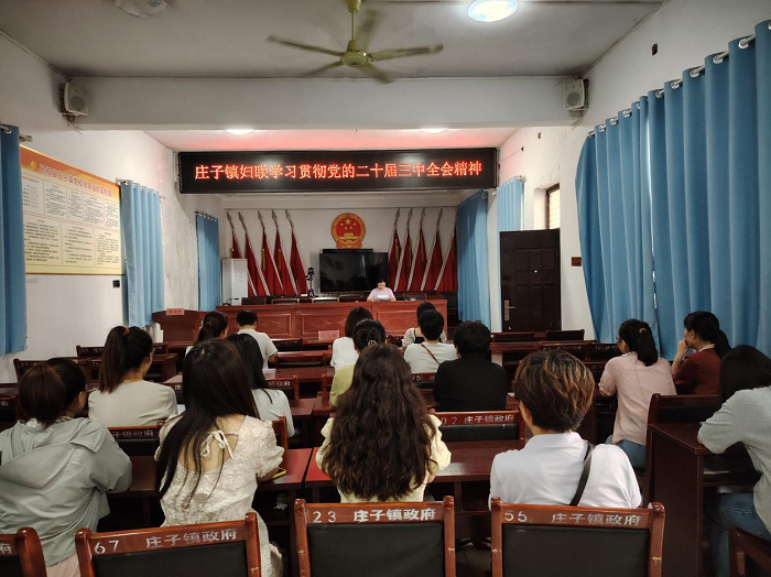 民權(quán)縣莊子鎮(zhèn)婦聯(lián)學(xué)習(xí)貫徹黨的二十屆三中全會(huì)精神 民權(quán)縣莊子鎮(zhèn)婦聯(lián)學(xué)習(xí)貫徹黨的二十屆三中全會(huì)精神