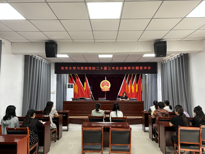 民權(quán)縣伯黨鄉(xiāng)婦聯(lián)學(xué)習(xí)貫徹黨的二十屆三中全會(huì)精神巾幗宣講會(huì) 民權(quán)縣伯黨鄉(xiāng)婦聯(lián)學(xué)習(xí)貫徹黨的二十屆三中全會(huì)精神巾幗宣講會(huì)