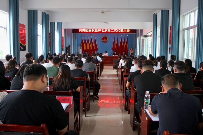 民權(quán)縣林七鄉(xiāng)圓滿完成團(tuán)組織換屆選舉工作 民權(quán)縣林七鄉(xiāng)圓滿完成團(tuán)組織換屆選舉工作