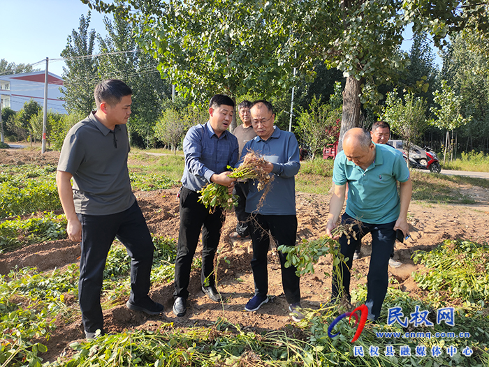 縣政協(xié)主席周明河到綠洲街道督導“三秋”生產(chǎn)、農(nóng)田排澇等工作