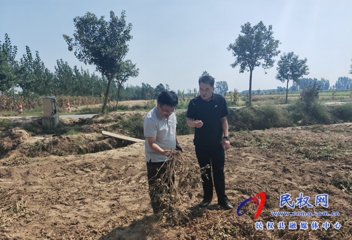 縣政協(xié)副主席韓兵到伯黨鄉(xiāng)督導(dǎo)“三秋”生產(chǎn)、村級后備力量培育儲備工作