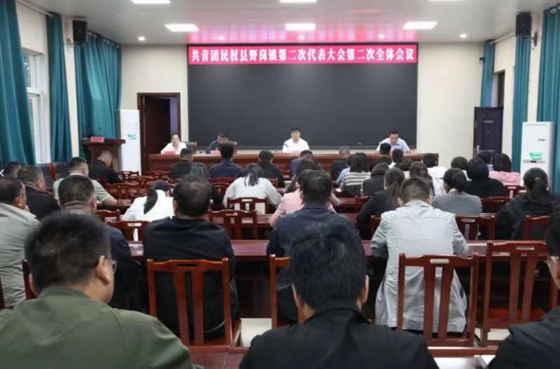 中國共產(chǎn)主義青年團(tuán)野崗鎮(zhèn)第二次代表大會勝利召開 中國共產(chǎn)主義青年團(tuán)野崗鎮(zhèn)第二次代表大會勝利召開