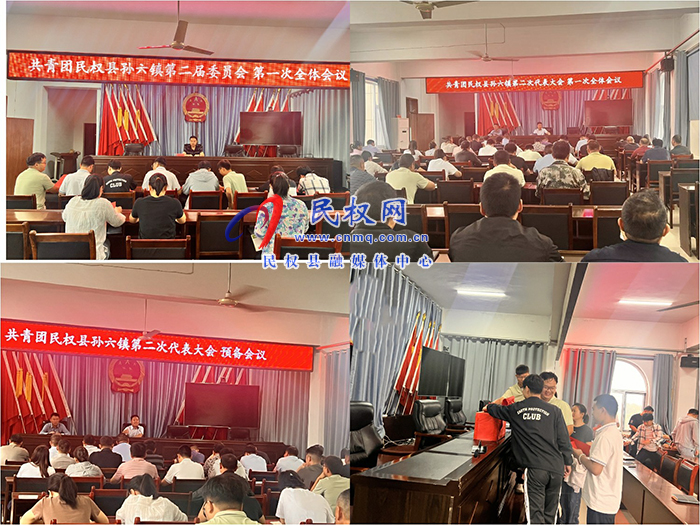 民權(quán)縣孫六鎮(zhèn)圓滿完成團(tuán)組織換屆選舉工作 民權(quán)縣孫六鎮(zhèn)圓滿完成團(tuán)組織換屆選舉工作