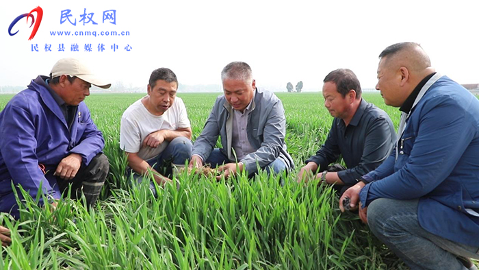 縣農(nóng)業(yè)農(nóng)村局全力應(yīng)對(duì)高溫干旱 護(hù)航小麥豐產(chǎn)豐收 縣農(nóng)業(yè)農(nóng)村局全力應(yīng)對(duì)高溫干旱 護(hù)航小麥豐產(chǎn)豐收