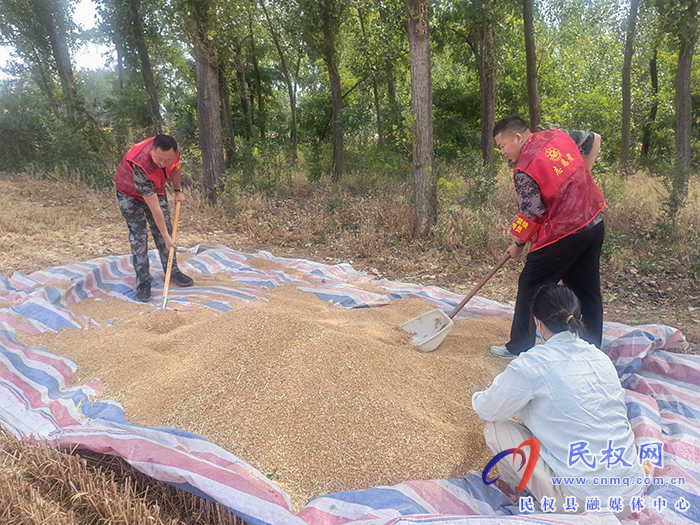 胡集鄉(xiāng):志愿紅助力三夏生產(chǎn) 胡集鄉(xiāng):志愿紅助力三夏生產(chǎn)